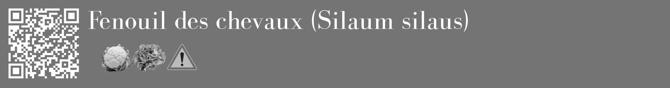 Étiquette de : Silaum silaus - format c - style blanche26_basique_basiquebod avec qrcode et comestibilité simplifiée