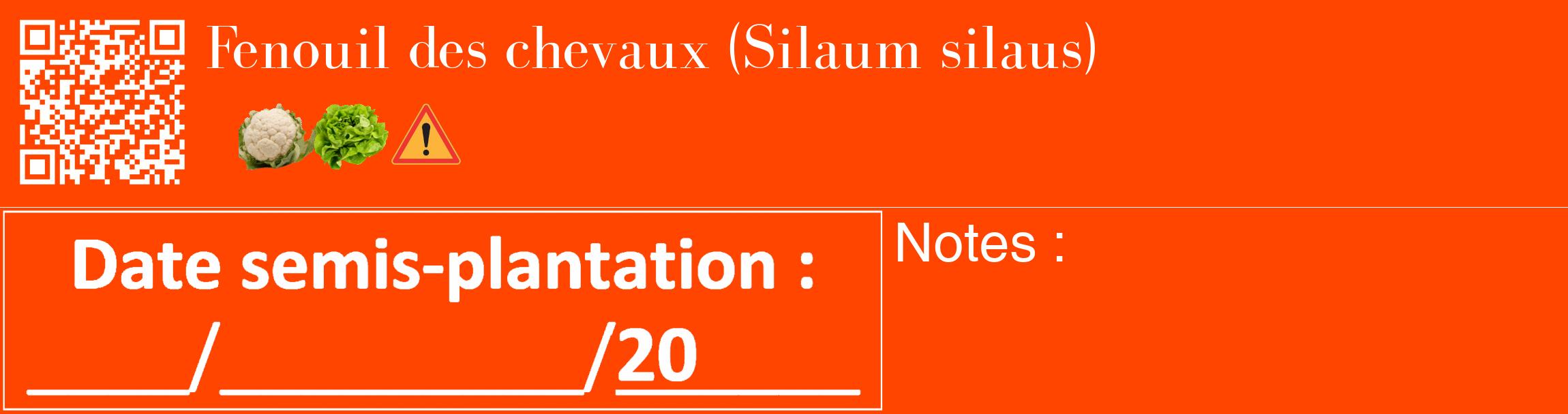 Étiquette de : Silaum silaus - format c - style blanche26_basique_basiquebod avec qrcode et comestibilité simplifiée
