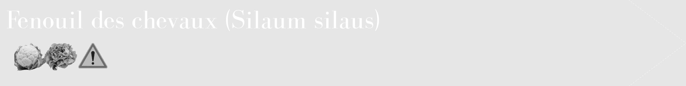 Étiquette de : Silaum silaus - format c - style blanche18_simple_simplebod avec comestibilité simplifiée
