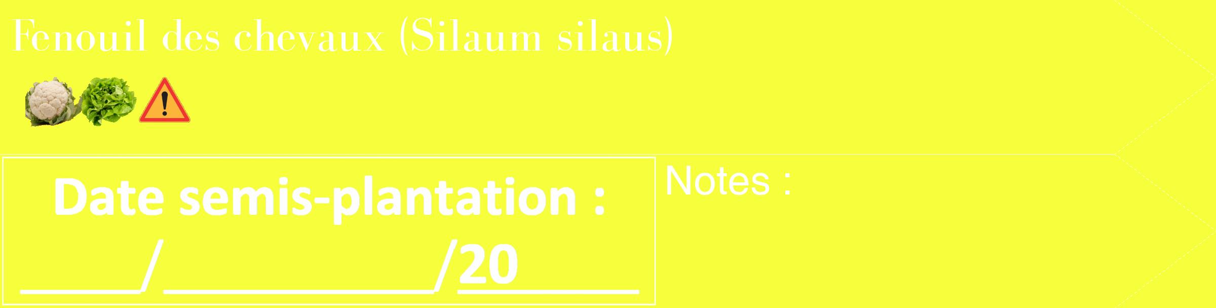 Étiquette de : Silaum silaus - format c - style blanche18_simple_simplebod avec comestibilité simplifiée