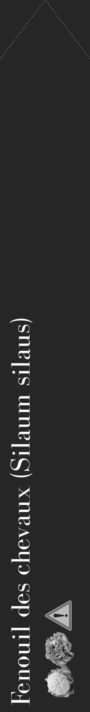 Étiquette de : Silaum silaus - format c - style blanche29_simple_simplebod avec comestibilité simplifiée - position verticale