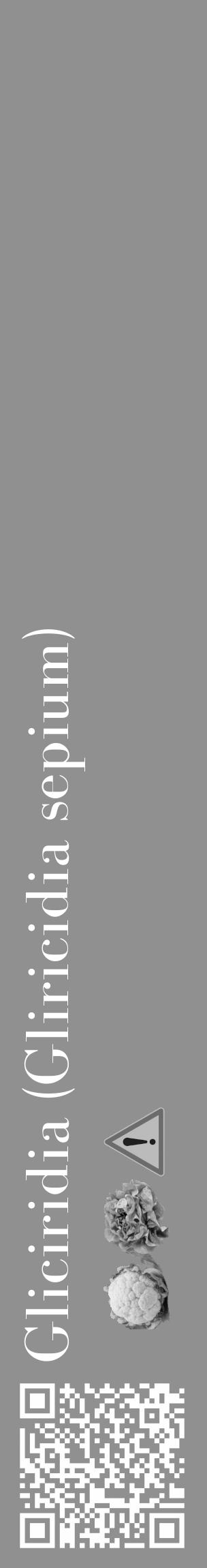 Étiquette de : Gliricidia sepium - format c - style blanche4_basique_basiquebod avec qrcode et comestibilité simplifiée - position verticale