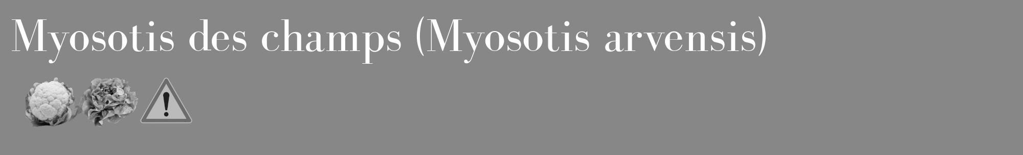 Étiquette de : Myosotis arvensis - format c - style blanche12_basique_basiquebod avec comestibilité simplifiée