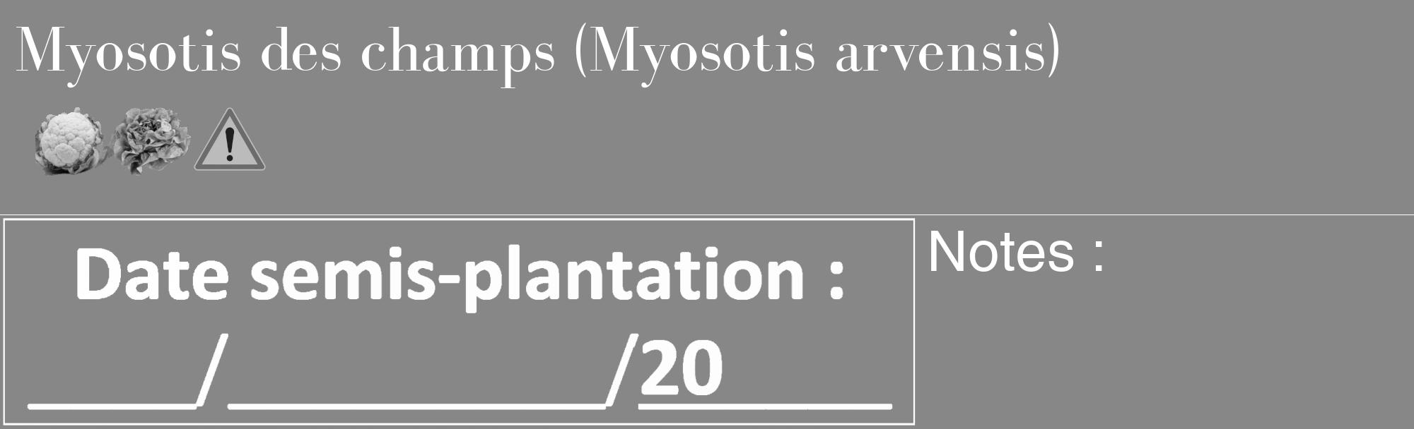 Étiquette de : Myosotis arvensis - format c - style blanche12_basique_basiquebod avec comestibilité simplifiée