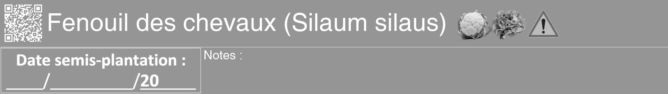 Étiquette de : Silaum silaus - format a - style blanche16hel avec qrcode et comestibilité simplifiée