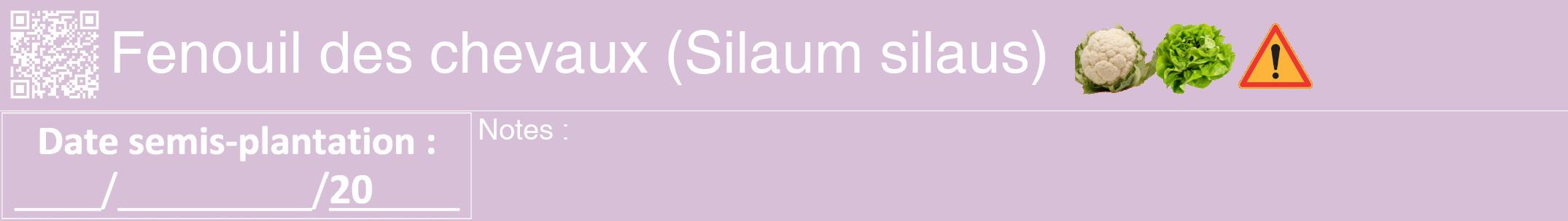 Étiquette de : Silaum silaus - format a - style blanche54hel avec qrcode et comestibilité simplifiée