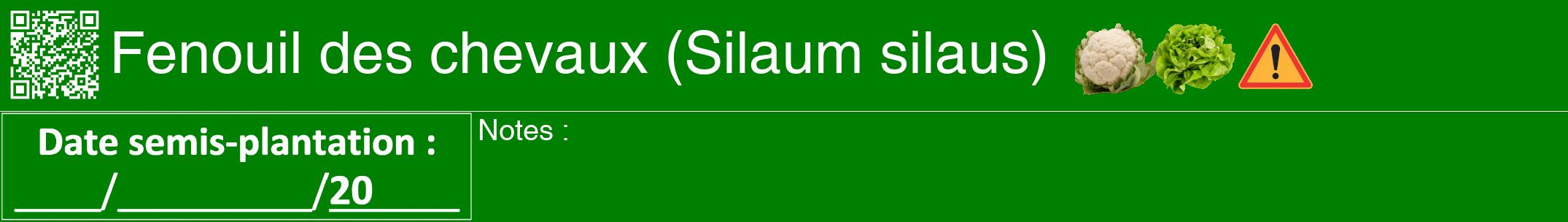 Étiquette de : Silaum silaus - format a - style blanche9hel avec qrcode et comestibilité simplifiée