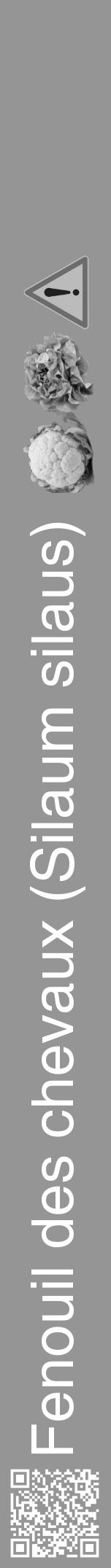 Étiquette de : Silaum silaus - format a - style blanche16hel avec qrcode et comestibilité simplifiée - position verticale