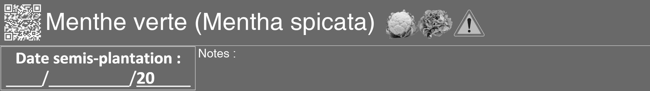 Étiquette de : Mentha spicata - format a - style blanche11hel avec qrcode et comestibilité simplifiée