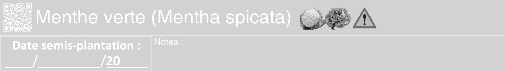 Étiquette de : Mentha spicata - format a - style blanche14hel avec qrcode et comestibilité simplifiée