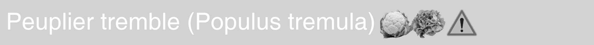Étiquette de : Populus tremula - format a - style blanche14hel avec comestibilité simplifiée