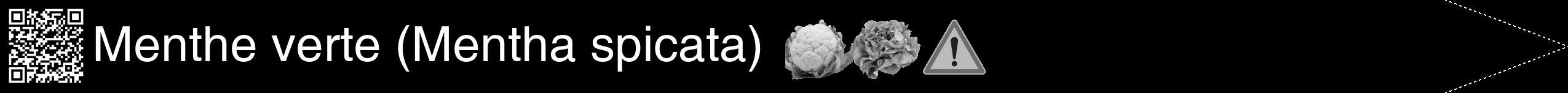 Étiquette de : Mentha spicata - format b - style blanche59hel avec qrcode et comestibilité simplifiée