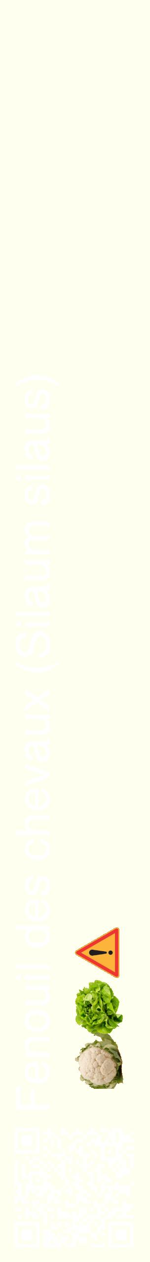Étiquette de : Silaum silaus - format c - style blanche19_simplehel avec qrcode et comestibilité simplifiée
