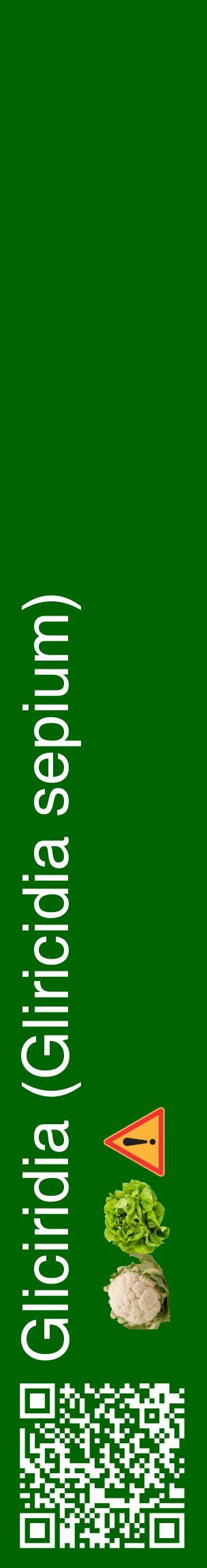Étiquette de : Gliricidia sepium - format c - style blanche8_basiquehel avec qrcode et comestibilité simplifiée