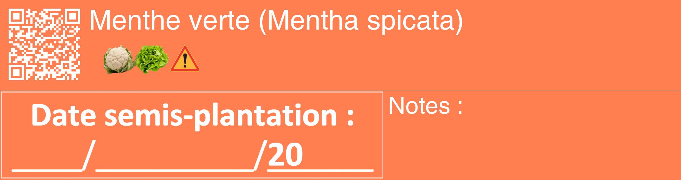 Étiquette de : Mentha spicata - format c - style blanche24_basique_basiquehel avec qrcode et comestibilité simplifiée