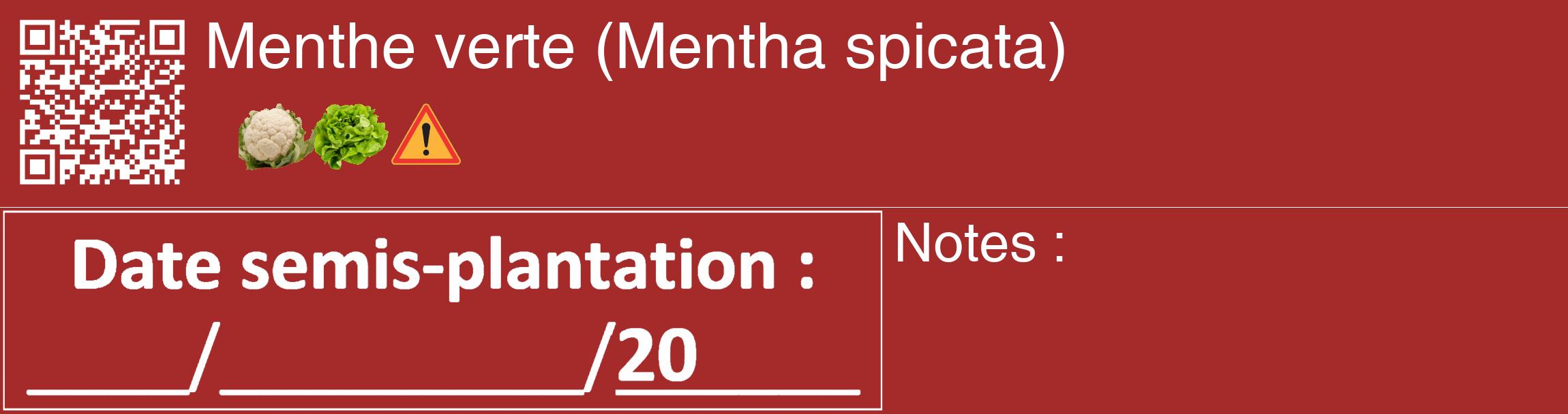 Étiquette de : Mentha spicata - format c - style blanche33_basique_basiquehel avec qrcode et comestibilité simplifiée