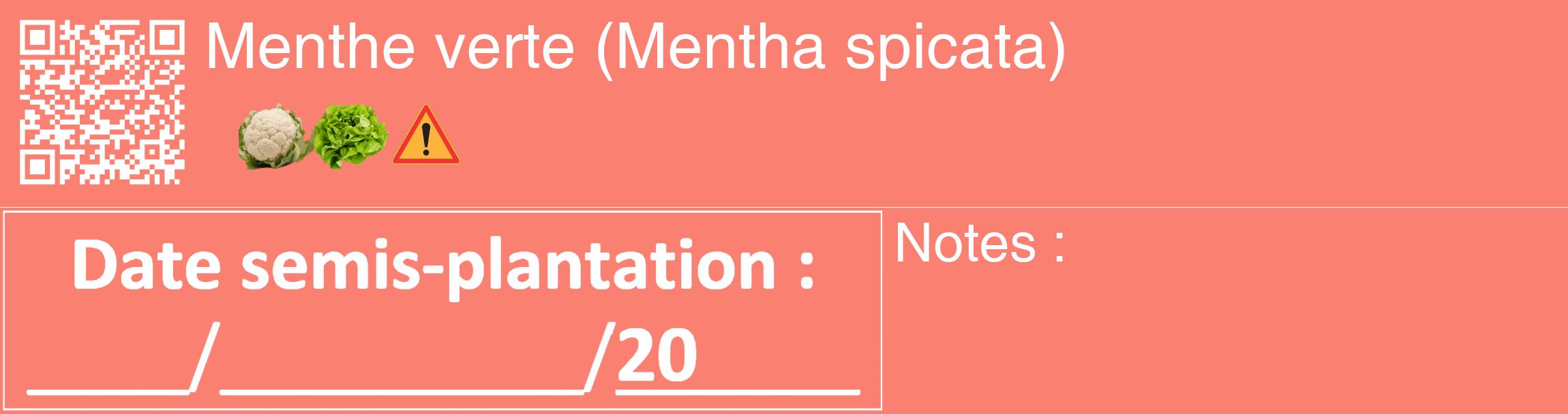 Étiquette de : Mentha spicata - format c - style blanche38_basique_basiquehel avec qrcode et comestibilité simplifiée