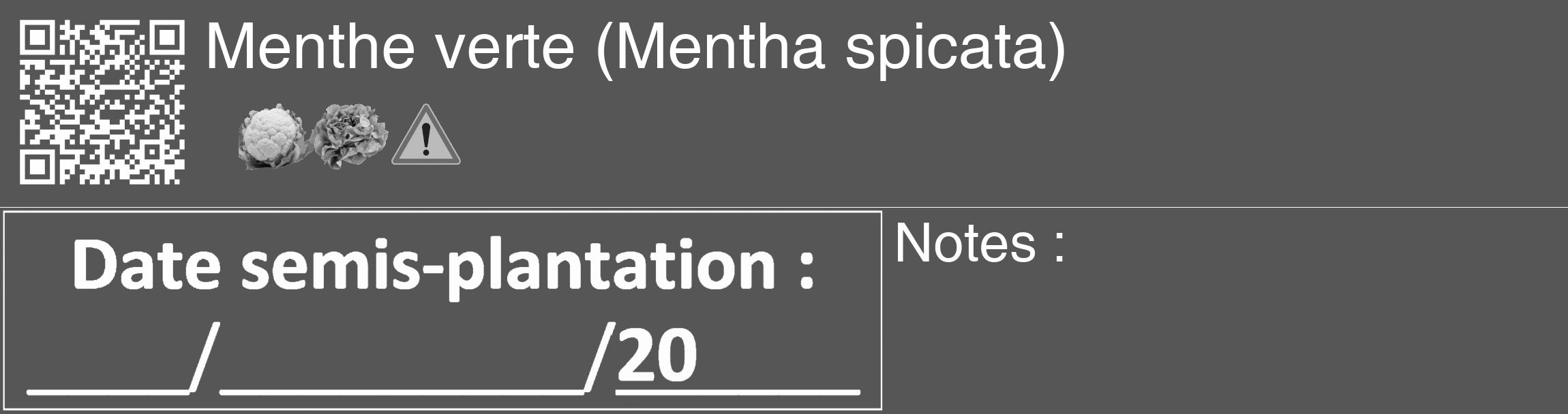 Étiquette de : Mentha spicata - format c - style blanche45_basique_basiquehel avec qrcode et comestibilité simplifiée
