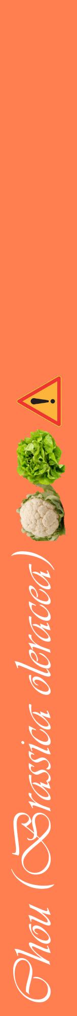 Étiquette de : Brassica oleracea - format a - style blanche24viv avec comestibilité simplifiée