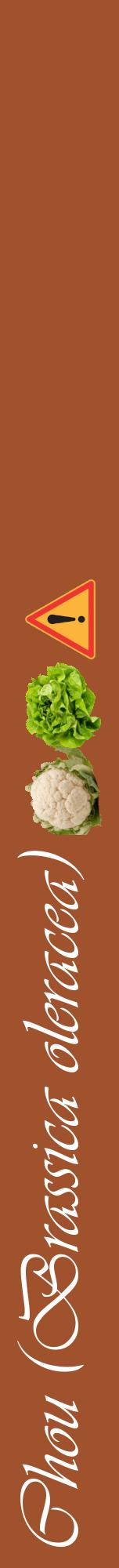 Étiquette de : Brassica oleracea - format a - style blanche32viv avec comestibilité simplifiée