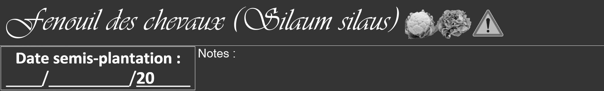 Étiquette de : Silaum silaus - format a - style blanche46viv avec comestibilité simplifiée