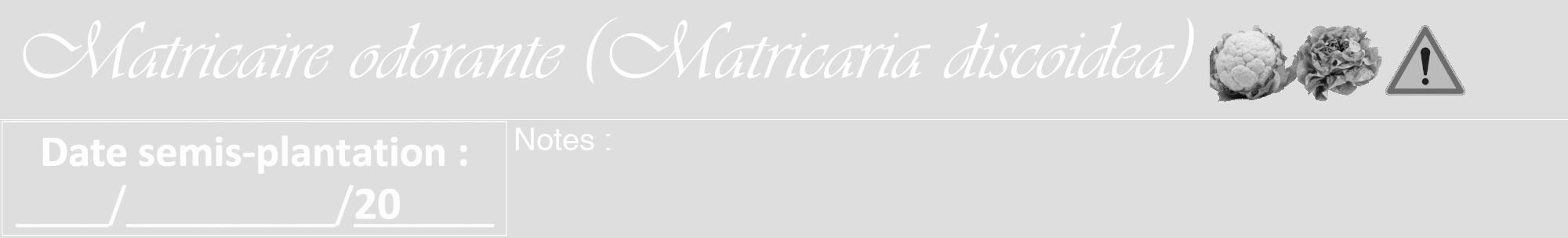 Étiquette de : Matricaria discoidea - format a - style blanche20basiqueviv avec comestibilité simplifiée