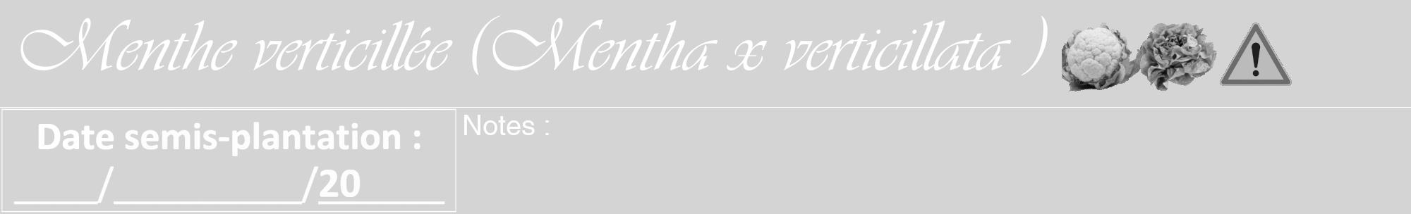 Étiquette de : Mentha x verticillata  - format a - style blanche40viv avec comestibilité simplifiée