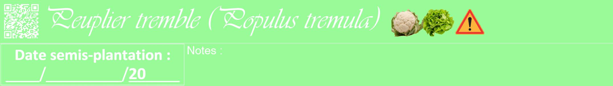 Étiquette de : Populus tremula - format a - style blanche14viv avec qrcode et comestibilité simplifiée