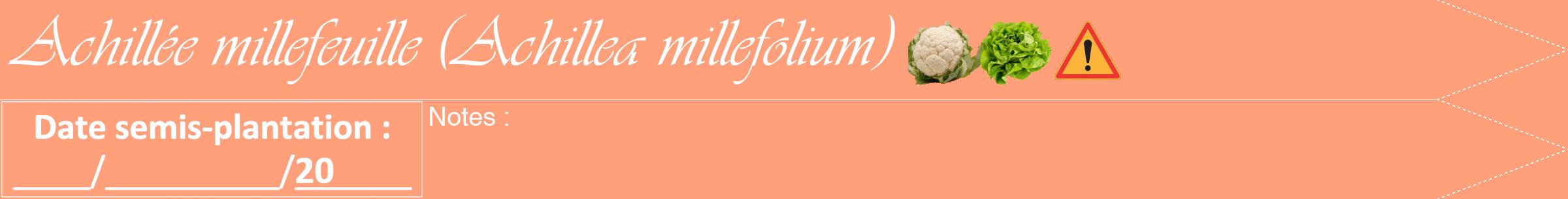 Étiquette de : Achillea millefolium - format b - style blanche39viv avec comestibilité simplifiée