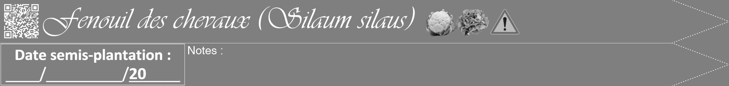 Étiquette de : Silaum silaus - format b - style blanche31viv avec qrcode et comestibilité simplifiée