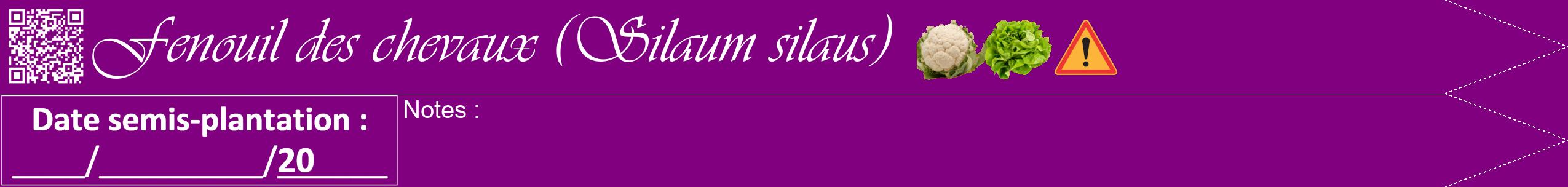 Étiquette de : Silaum silaus - format b - style blanche46viv avec qrcode et comestibilité simplifiée