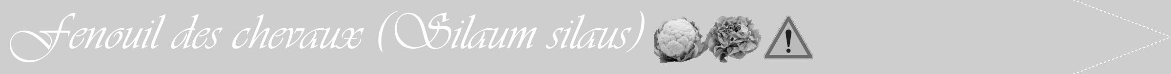 Étiquette de : Silaum silaus - format b - style blanche17viv avec comestibilité simplifiée