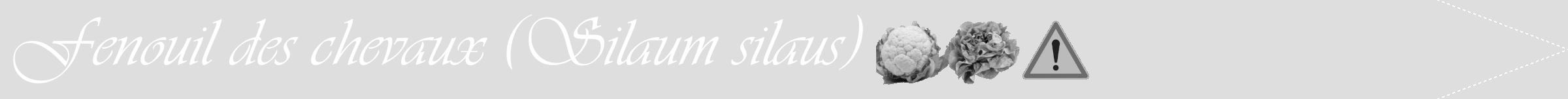 Étiquette de : Silaum silaus - format b - style blanche20viv avec comestibilité simplifiée