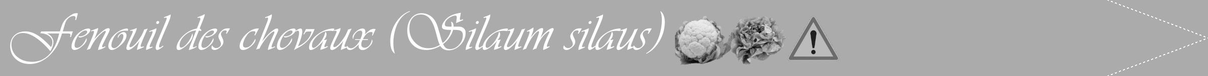 Étiquette de : Silaum silaus - format b - style blanche37viv avec comestibilité simplifiée