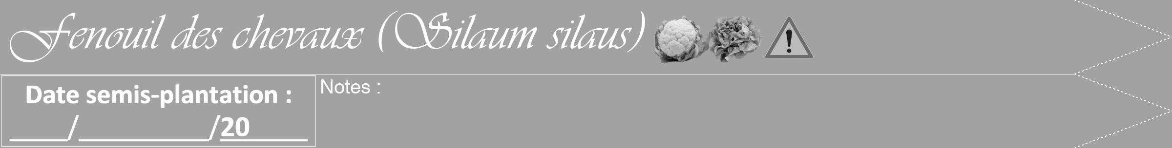 Étiquette de : Silaum silaus - format b - style blanche38viv avec comestibilité simplifiée