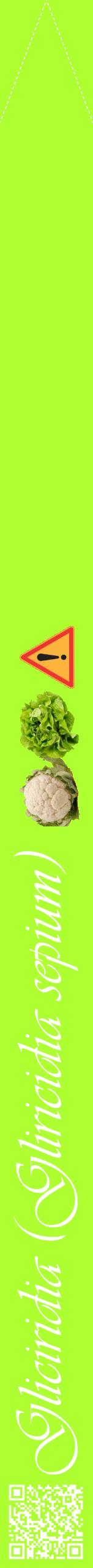 Étiquette de : Gliricidia sepium - format b - style blanche17viv avec qrcode et comestibilité simplifiée