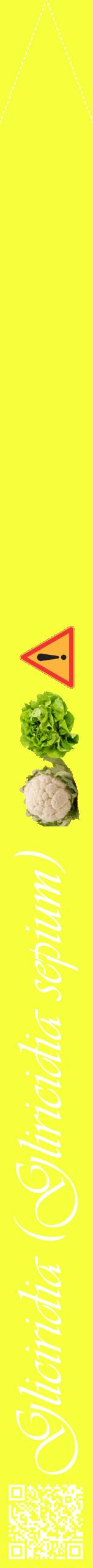 Étiquette de : Gliricidia sepium - format b - style blanche18viv avec qrcode et comestibilité simplifiée