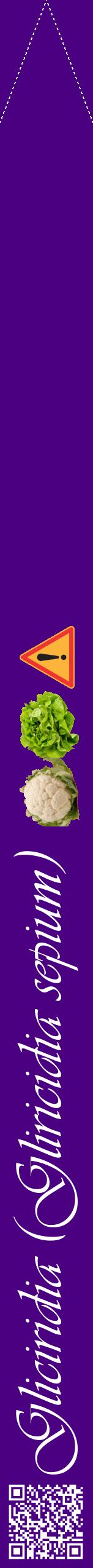 Étiquette de : Gliricidia sepium - format b - style blanche47viv avec qrcode et comestibilité simplifiée