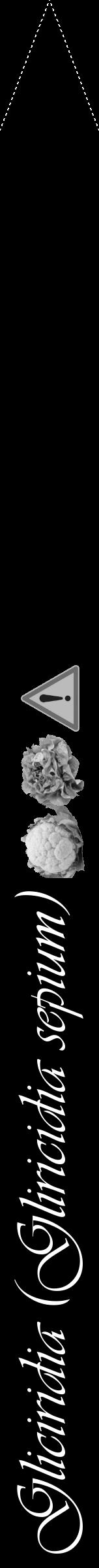 Étiquette de : Gliricidia sepium - format b - style blanche59viv avec comestibilité simplifiée - position verticale