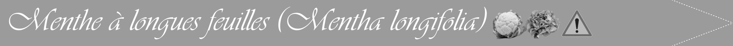 Étiquette de : Mentha longifolia - format b - style blanche52simpleviv avec comestibilité simplifiée