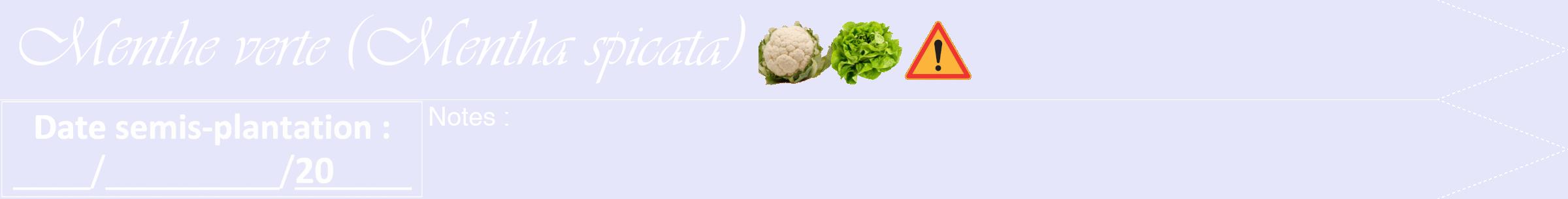 Étiquette de : Mentha spicata - format b - style blanche55viv avec comestibilité simplifiée