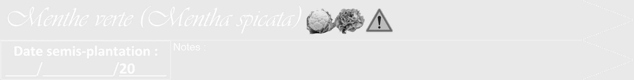 Étiquette de : Mentha spicata - format b - style blanche55viv avec comestibilité simplifiée