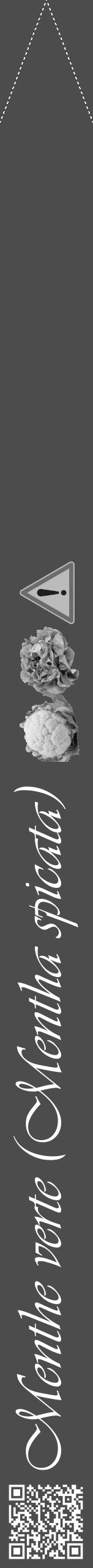 Étiquette de : Mentha spicata - format b - style blanche27viv avec qrcode et comestibilité simplifiée - position verticale