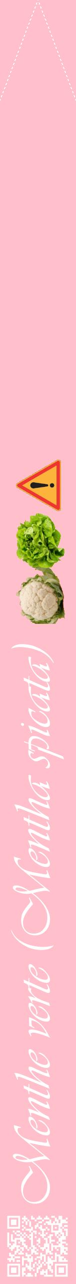 Étiquette de : Mentha spicata - format b - style blanche40viv avec qrcode et comestibilité simplifiée