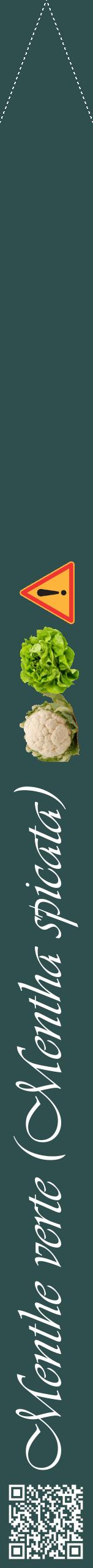 Étiquette de : Mentha spicata - format b - style blanche58viv avec qrcode et comestibilité simplifiée