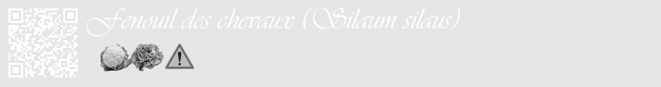 Étiquette de : Silaum silaus - format c - style blanche18_basique_basiqueviv avec qrcode et comestibilité simplifiée