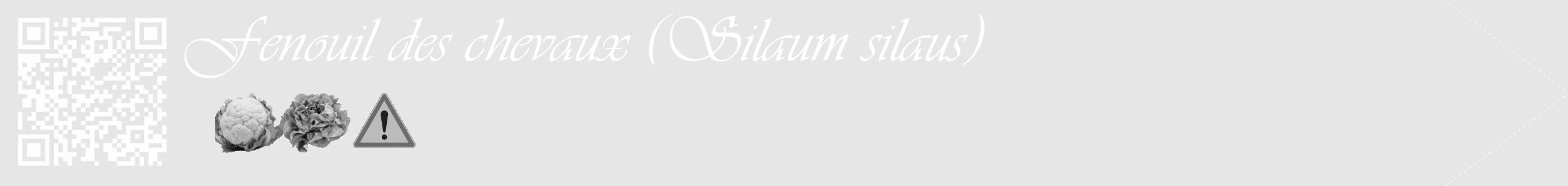 Étiquette de : Silaum silaus - format c - style blanche18_simple_simpleviv avec qrcode et comestibilité simplifiée