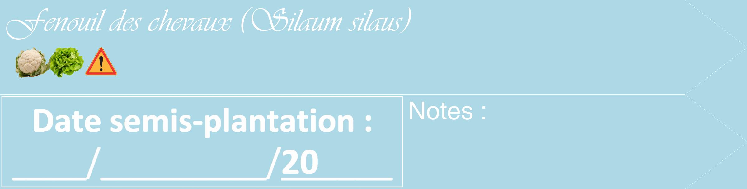 Étiquette de : Silaum silaus - format c - style blanche0_simple_simpleviv avec comestibilité simplifiée