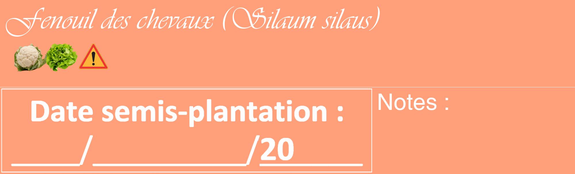 Étiquette de : Silaum silaus - format c - style blanche39_basique_basiqueviv avec comestibilité simplifiée