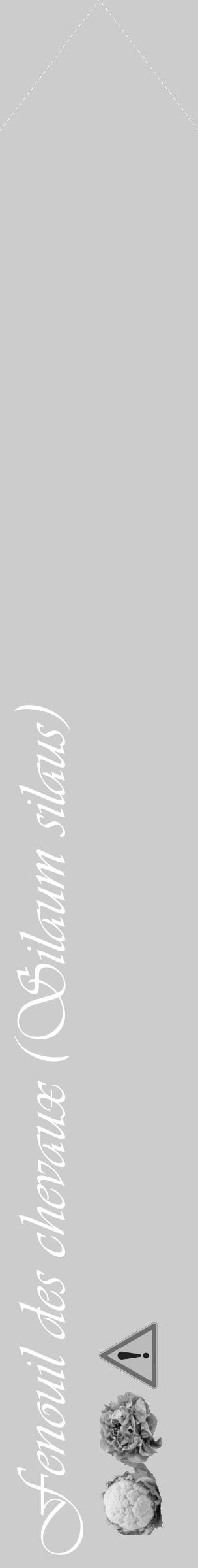 Étiquette de : Silaum silaus - format c - style blanche0_simple_simpleviv avec comestibilité simplifiée - position verticale